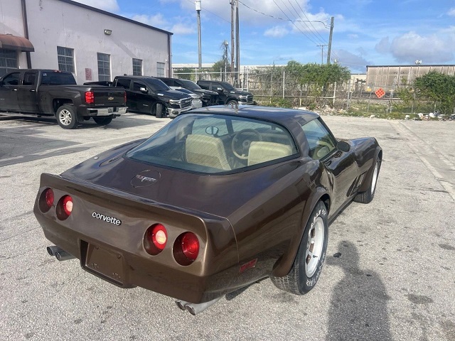 1980 C3 braun Armin 2